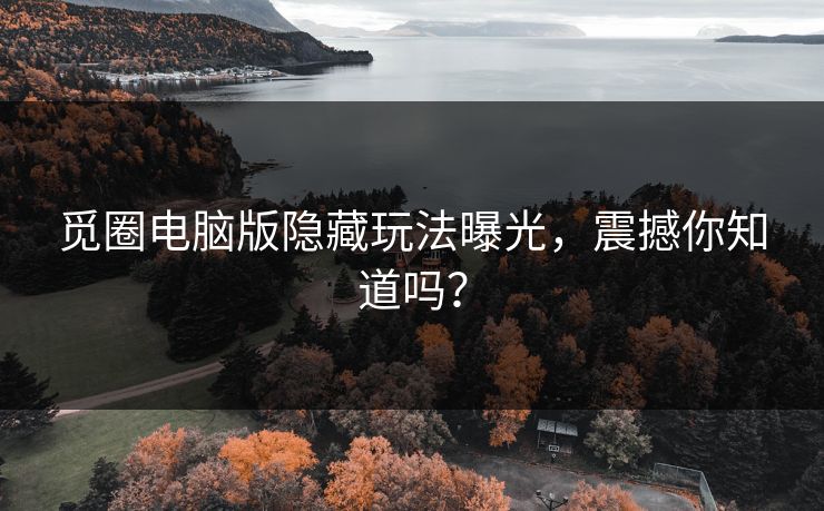 觅圈电脑版隐藏玩法曝光，震撼你知道吗？