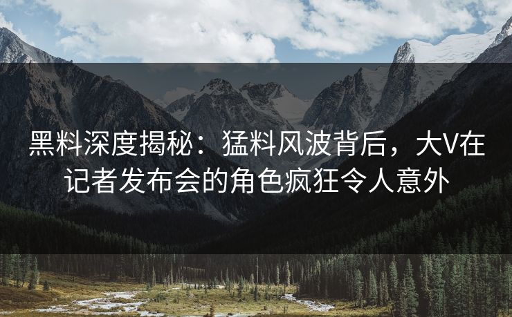 黑料深度揭秘：猛料风波背后，大V在记者发布会的角色疯狂令人意外