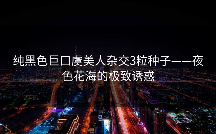 纯黑色巨口虞美人杂交3粒种子——夜色花海的极致诱惑